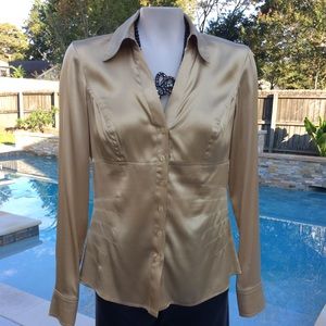 SO GORGEOUS! CACHE GOLD SILK TOP🍂🌾🍁